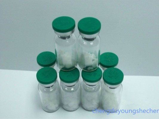 white color powder and water soluble neuroactive dipeptide Kyotorphin Cas 70904-56-2